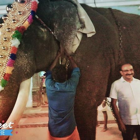 Thrissur Grace Guest Home מראה חיצוני תמונה