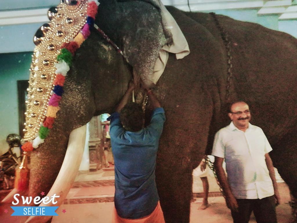 Thrissur Grace Guest Home מראה חיצוני תמונה